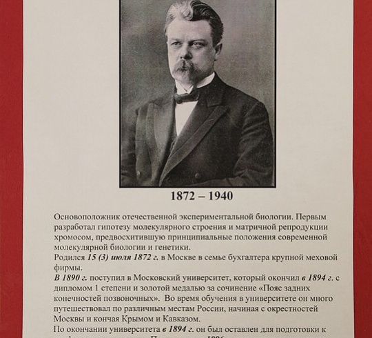 Николай Константинович Кольцов